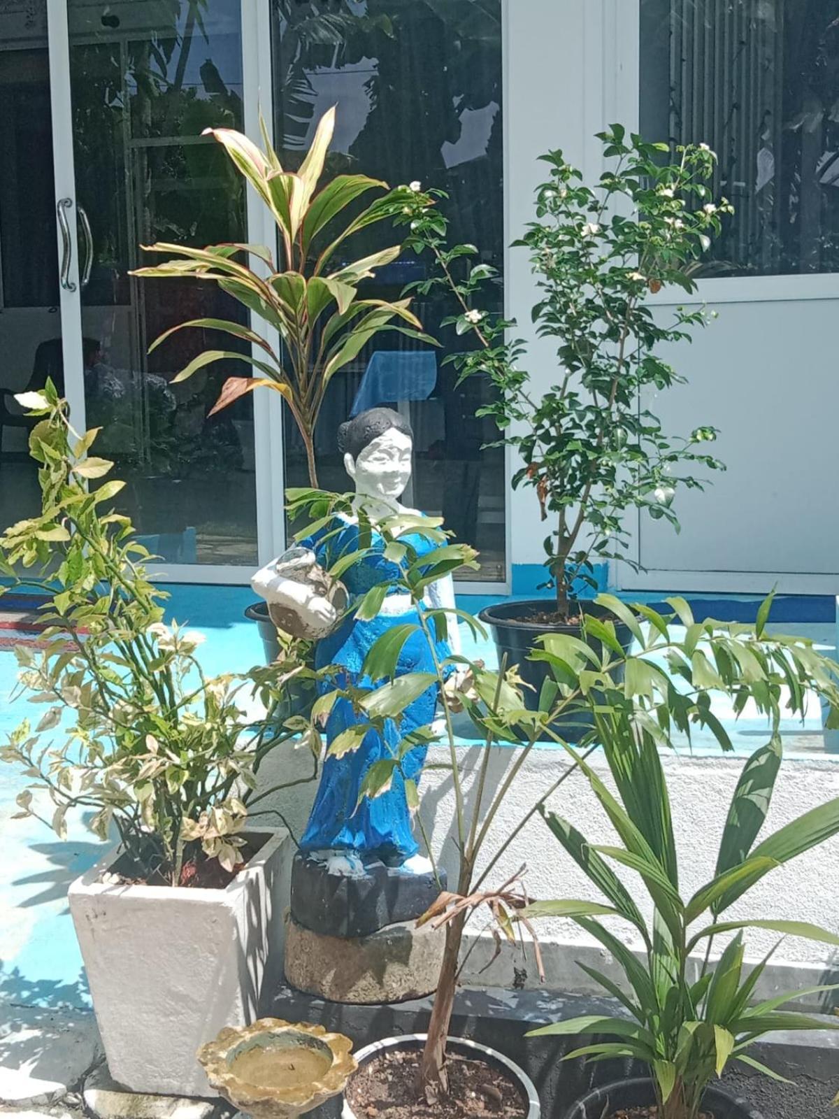 Moon Light Guest Bed & Breakfast Mirissa Bagian luar foto