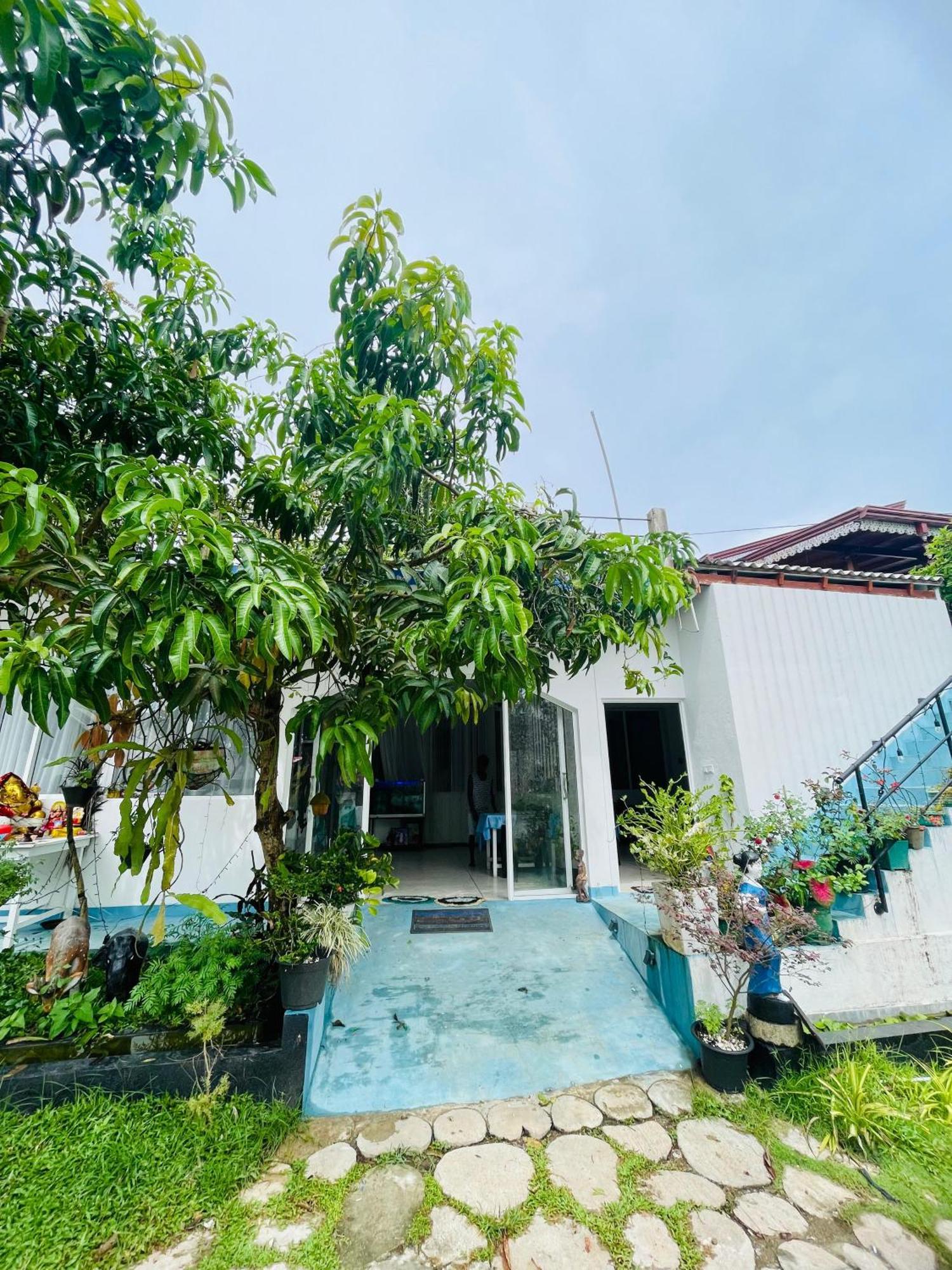 Moon Light Guest Bed & Breakfast Mirissa Bagian luar foto
